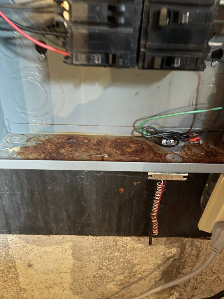 licensed electricians
